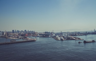 在线ddos网页端